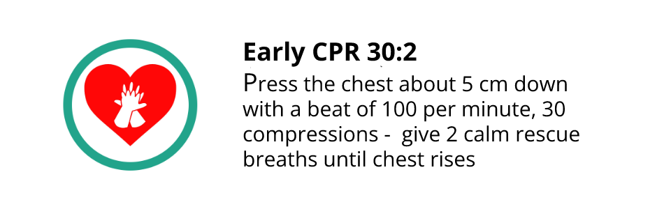 Chain of survival - early cpr